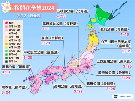 開花|桜開花予想【2024】｜ウェザーニュー